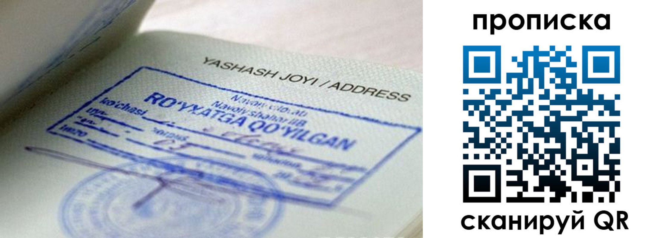 временная регистрация надежно в Грозном